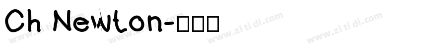 Ch Newton字体转换